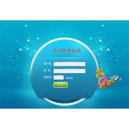 友拓软件 一站式在线咨询，开启高效系统开发之旅